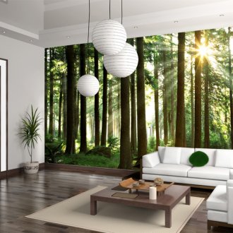 Ιαπωνικές εσωτερικές κουρτίνες