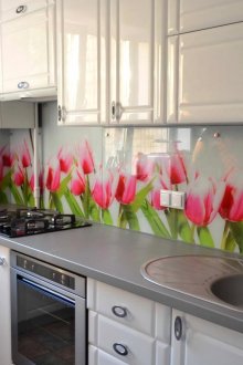 Πλαστική ποδιά κουζίνας