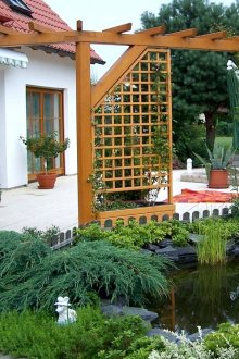 Pergola