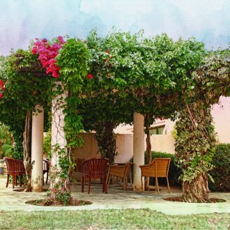 Pergola