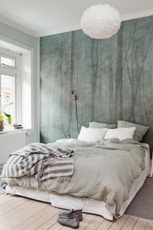 Anthurium σε σκανδιναβικό εσωτερικό