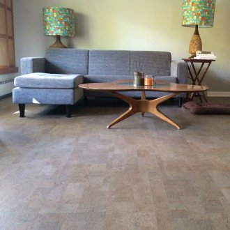 Γκρι κάλυμμα πόρτας