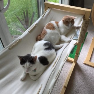 Αιώρα για γάτα