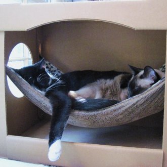 Αιώρα για γάτα