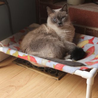 Πλαστικά κλινοσκεπάσματα