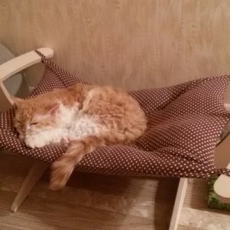 Αιώρα για γάτα