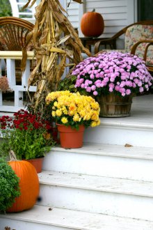 Cherry μπροστινή πόρτα