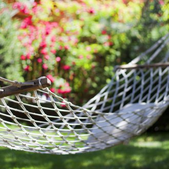 Δίχτυ σχάρας