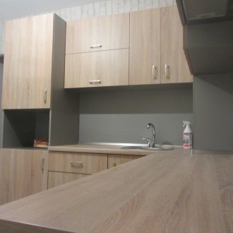 Πλάκα από μοριοσανίδες