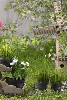 Στοιχεία μπαλονιού