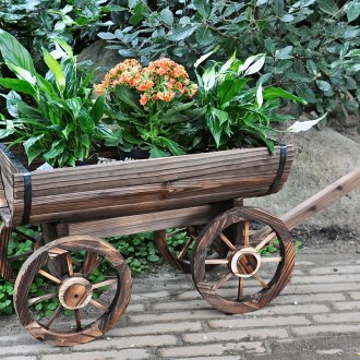 Κήπος λουλούδι γλάστρα για λουλούδια από ένα δέντρο