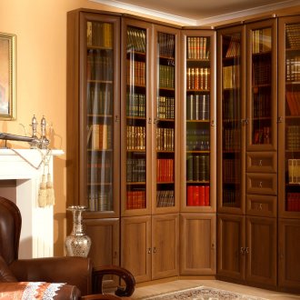 Γωνιακό βιβλιοθήκη