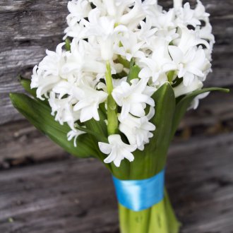 Bílé hyacinty