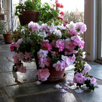 Πέτρινο παραθυρόφυλλο παράθυρο