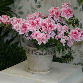 Φωτεινό κεραμικό πλακίδιο