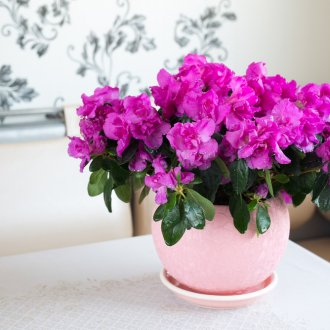 Σοβιετικά έπιπλα στην κουζίνα