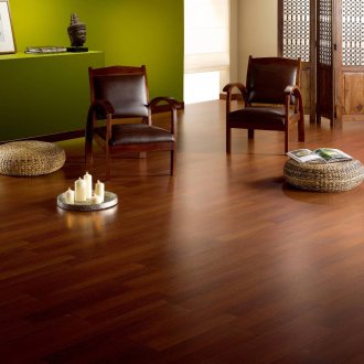 Δρυς στον κήπο