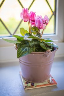 Περσικό χαλί από μαλλί