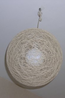 Φούξια με σπείρωμα