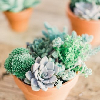 Ζυμαρικά στο εσωτερικό