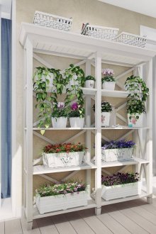 Διακόσμηση του μπαλκονιού με ζωντανά φυτά