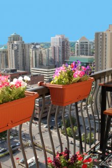 Τα λουλούδια είναι ιδανικά για τη διακόσμηση ενός μπαλκονιού