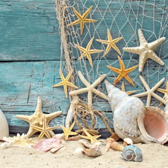 Θάλασσα με κέλυφος