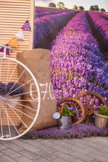 Γάμος ντεκόρ από κορδέλες