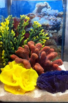 Ενυδρείο διακόσμηση με πέτρες και κοράλλια