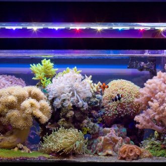 Θαλάσσια διακόσμηση από πέτρες