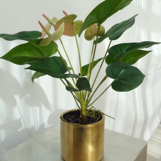 Ανθούριο σε χρυσό δοχείο