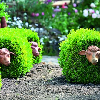 Διακοσμητικά θάμνοι στον κήπο