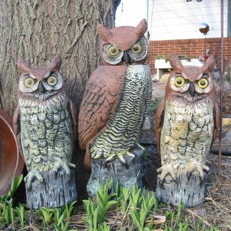 Κουκουβάγιες στο ντεκόρ του κήπου