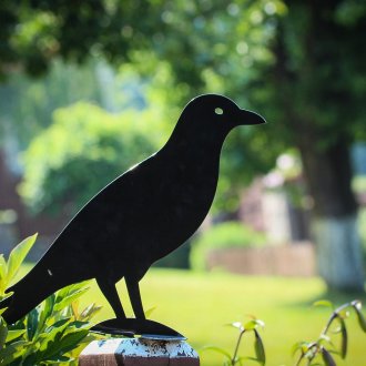 Κορνίζα σχήμα κοράλλι από μέταλλο