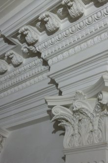 Στρουθοκαμήλα