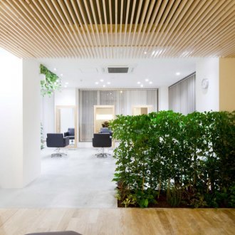 Φυτοσύνδεση του εσωτερικού