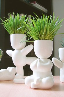 Γρασίδι στο αρχικό ανθοπωλείο