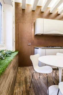 Γρασίδι στο παράθυρο κουζίνας