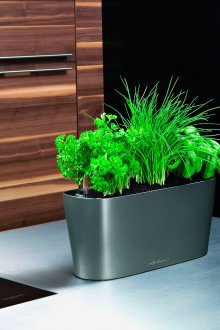 Πράσινοι στο εσωτερικό της κουζίνας