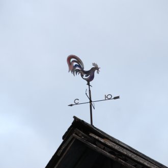 Rooster weather pane