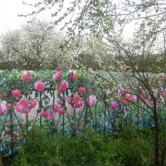 Χαλί με τριαντάφυλλα στο νηπιαγωγείο