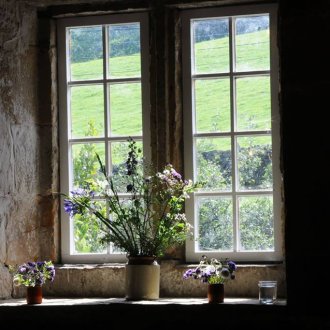 Ιαπωνικό κυδώνι μπροστά από το σπίτι