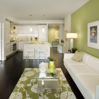 Στερεά ελιά