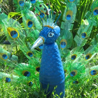 Παγώνι από πλαστικά μπουκάλια στη χώρα