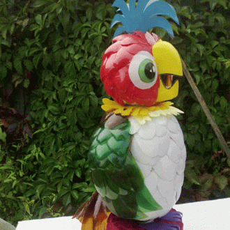Πλαστικό παπαγάλο μπουκαλιών