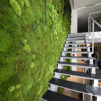 Κάθετη κηπουρική με βρύα