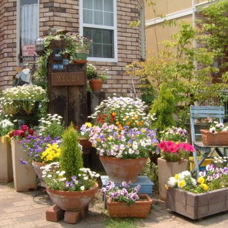 Γλάστρες για λουλούδια σε στιλ της Προβηγκίας