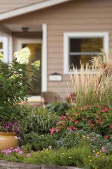 Λουλούδι σε γλάστρες