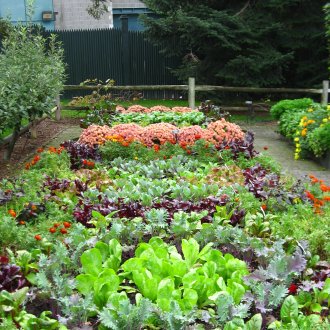 Κρεβάτια σε κήπο