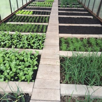 Κρεβάτια στο θερμοκήπιο